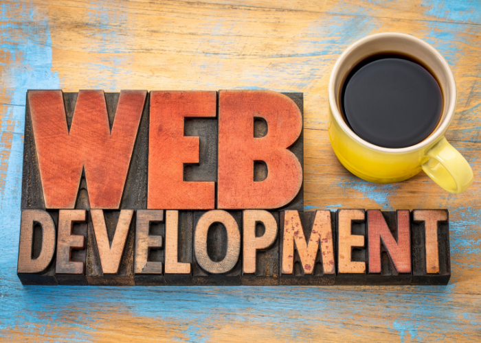 Top Reasons Why Web Development is Essential For All Types of ...