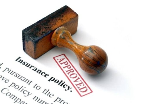 renewing your car insurance policy (1) (1)